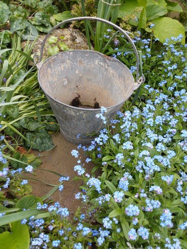 Galvanised vintage water - galvanised,