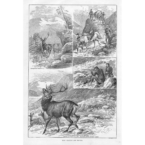 Scotland deer stalking - scotland,