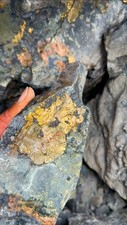 Premium High-Grade Gold Ore