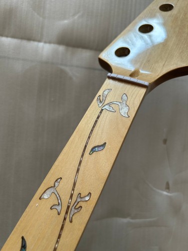 Gloss fretless fret - 20, 34"