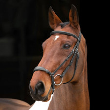 Shires Velociti Drop Noseband