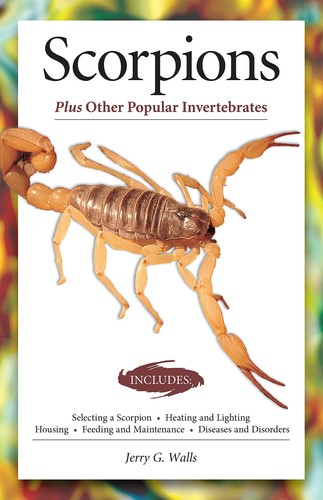 Scorpions advanced vivarium - (advanced,