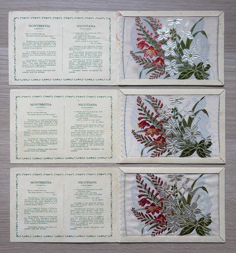 Kensitas wix flowers - kensitas,