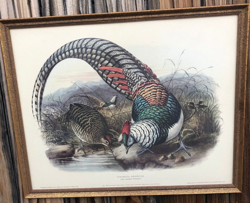 Vintage framed litho print - litho,