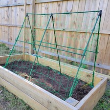 A Frame Garden Cucumber