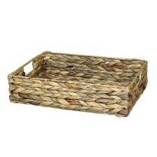 Shallow Water Hyacinth