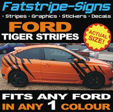 fits Ford Focus Graphics