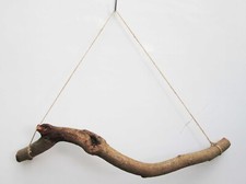 60cm 2ft Thick GNARLY Knotty