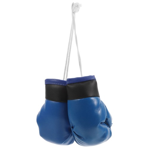 Mini boxing gloves - boxing, view