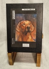 Rhodesian Ridgeback Dog Zazzle