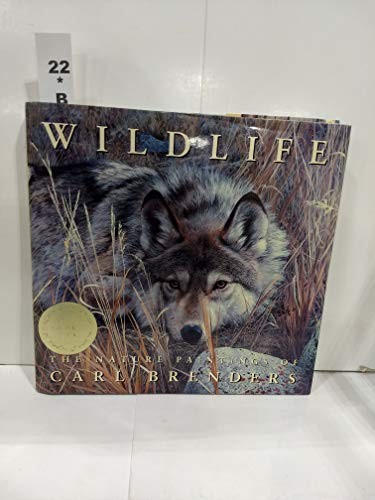 Wildlife the nature paintings - wildlife:,