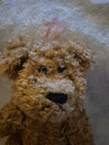 Venus promotions small teddy - venus,