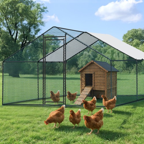 13x10ft metal chicken - 13x10ft,