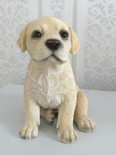 Yellow labrador puppy vivid - yellow,