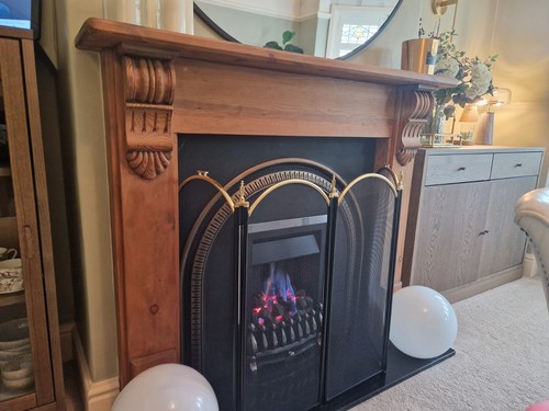 Valor full depth gas fire - valor,