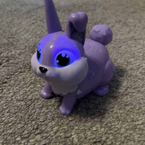 Animagic lets bunny purple - lets, go