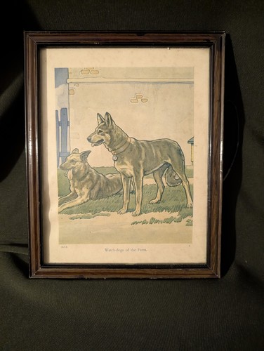Antique 1920s framed dog - 1920s,