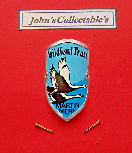 Wildfowl trust martin mere - wildfowl,