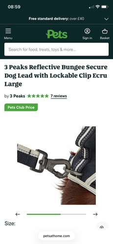Peaks reflective dog lead - dog,