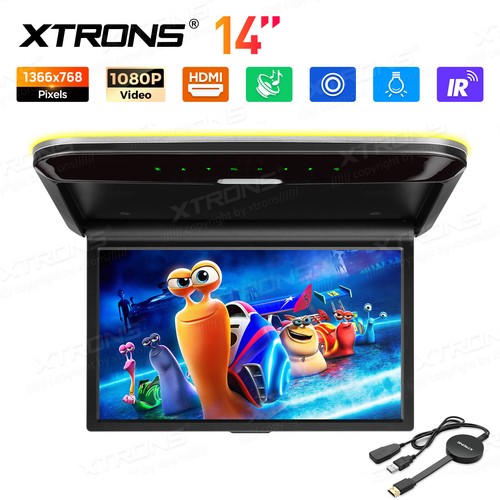 Screen car ceiling roof - screen,