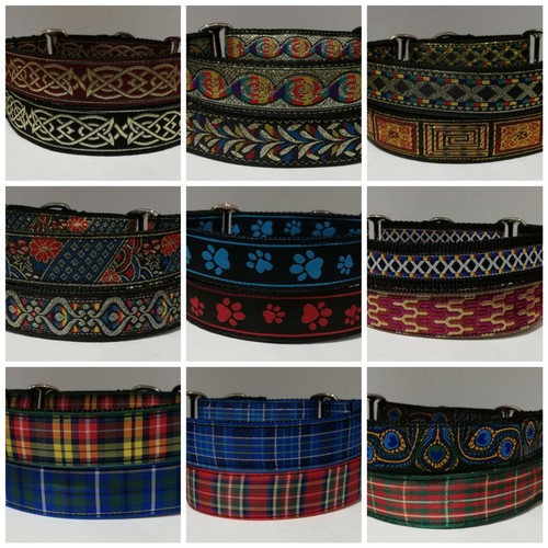 Wide martingale dog - martingale,