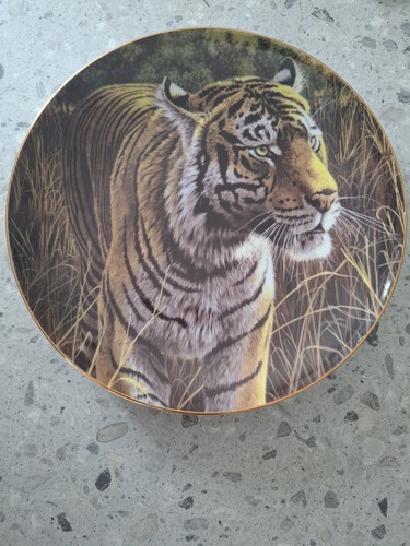 Tiger plate - plate, danger)