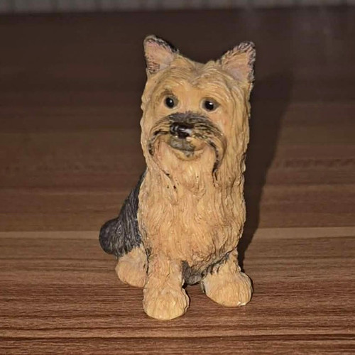 Small dog sitting - sitting, decorative