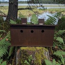 Sparrow Nest Box 3 Hole