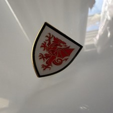 Welsh Pin Badge