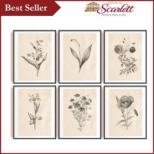 Set vintage botanical - 6,