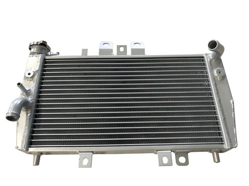 For triumph speed triple 955i - for,