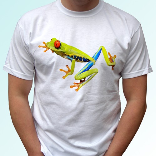 Red eye frog - frog, t