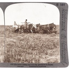 Rice Harvester on Texas Farm
