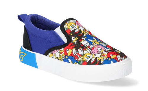 Sonic the hedgehog tennis - hedgehog,