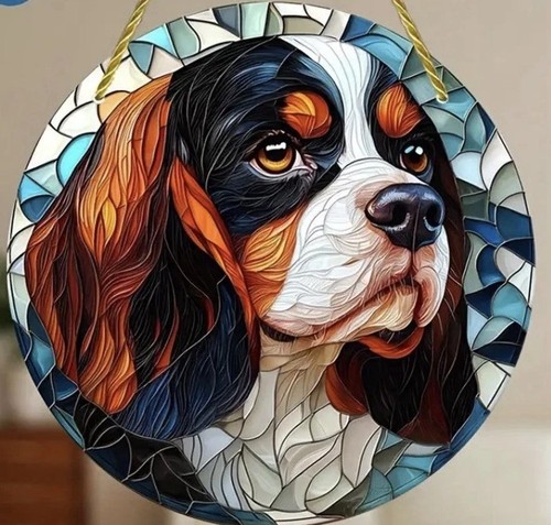 Cavalier king charles spaniel - king,