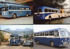 Bus Photos 21 Alexander