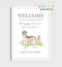 Saluki unframed - saluki,
