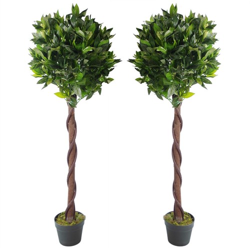 Pair 120cm twisted - (4ft),