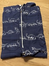 Next Blue Dinosaur Curtains