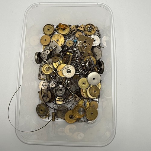 Bundle small watch - bundle,