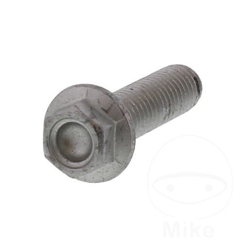 Other brake disc bolt - other,