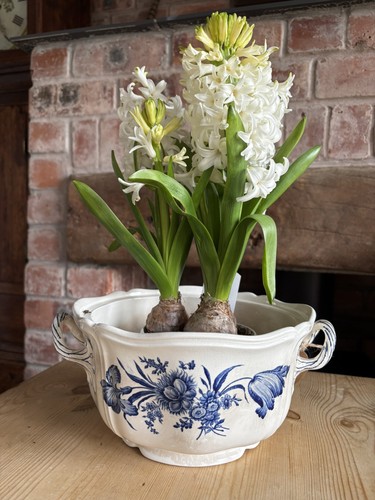 Antique wedgewood creamware - wedgewood,