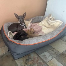 Orthopedic Dog Bed Memory Foam