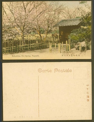 Japan old hand tinted postcard - japan,