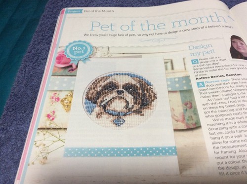 Shih tzu dog cross - (g84),