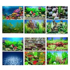 Aquarium Fish Tank Background