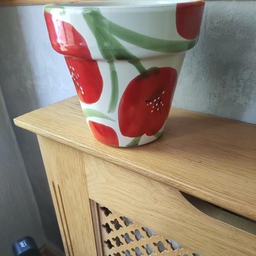 Hand painted terracotta pot - hand,
