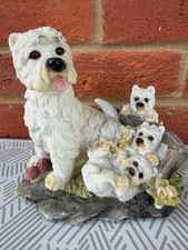 West highland terrier dog - terrier,