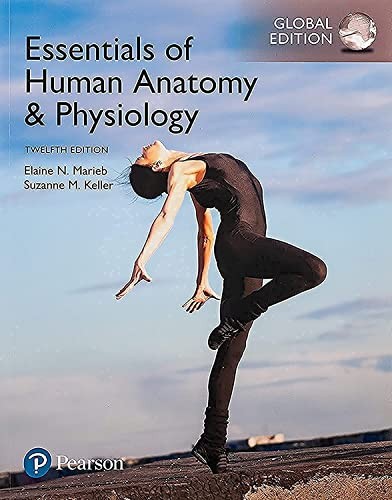 Essentials human anatomy - human,