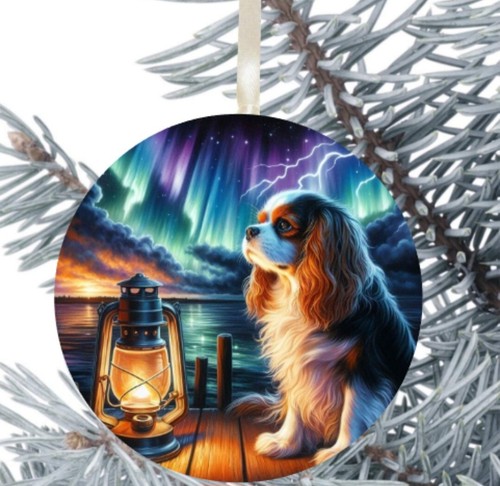 Cavalier king charles spaniel - cavalier,